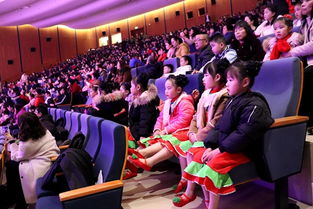 瑯岐鎮(zhèn)2019年迎新年文藝匯演 文化藝術(shù)交流活動盛況