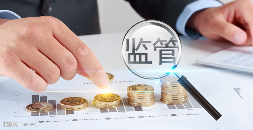 金融監(jiān)管與投資管理 保障市場穩(wěn)健運(yùn)行的雙重支柱