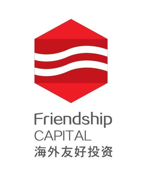 廣東海外友好投資管理 專業(yè)服務(wù)與未來展望